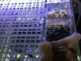 拿破仑洗衣机缺少过滤网的原因是什么？