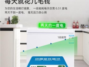 如何正确保存食物——以小鸭冰柜为例（使用小鸭冰柜的正确方法及注意事项）
