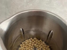 破壁机豆浆豆渣的新利用途径（创意利用豆渣打造美味与环保的完美结合）