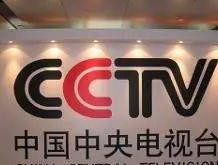 小花花被称作电视机的原因是什么？