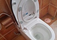 抽水马桶发黄，解决方法大揭秘（如何恢复抽水马桶的洁净度）