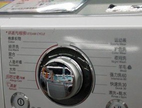 老式LG洗衣机清洗方法（保护衣物的洗衣技巧）