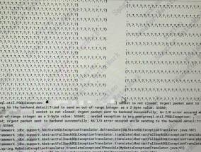 CAJViewer7.2软件报错的常见解决步骤是什么？