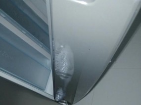 冰箱底部漏水的处理方法（解决冰箱底部漏水问题的有效办法）