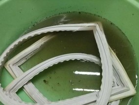 冰箱橡胶圈清洗技巧（轻松清洁橡胶圈）