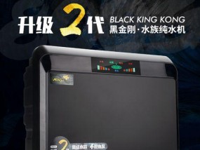 过滤饮水机的安装方法（学会正确安装过滤饮水机）