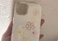 苹果系列手机壳带字母的含义是什么？