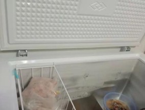 星星冷藏冰柜故障解决指南（冰柜维修及常见问题解析）
