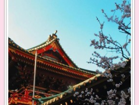 佳能相机拍摄建筑风景效果如何？最佳设置是什么？