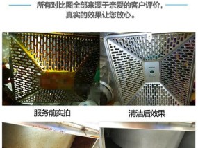 如何正确清洗抽油烟机（掌握清洗技巧）