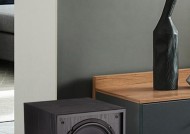 低音炮出现口哨声的原因是什么？