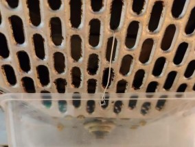 志高油烟机叶轮清洗方法（简单实用的清洁技巧）