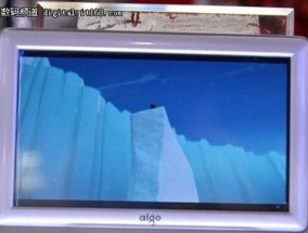爱国者显示器黑屏问题解决方法（应对爱国者显示器黑屏的实用技巧）