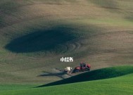 佳能相机麦田摄影设置方法？拍摄技巧有哪些？