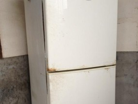 小天鹅冰箱E6故障及维修方法（解决小天鹅冰箱显示E6错误的有效方法）