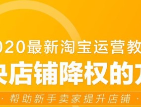 开网店入门基础知识指南（了解如何以新手小白的身份开设自己的网店）