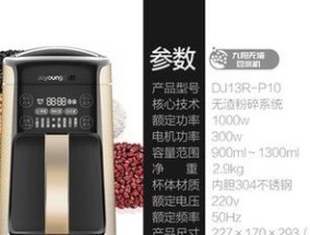 博士壁挂炉10故障解决方法（探索博士壁挂炉10常见故障的解决办法）