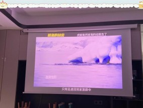 酷喵投影仪用什么幕布好？选择幕布的技巧和建议是什么？
