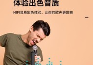 功放蓝牙话筒连接音箱的方法是什么？