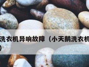 洗衣机异响问题解决方案（探索洗衣机异响原因）