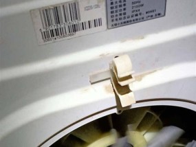 小天鹅洗衣机不脱水问题的原因及解决方法（了解小天鹅洗衣机不脱水的原因）