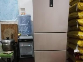小天鹅冰箱不制冷问题解决方法（急救小天鹅冰箱不制冷问题的5个关键步骤）