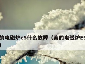 电磁炉显示E8故障解析与维修方法（排查电磁炉显示E8故障的步骤和解决方案）