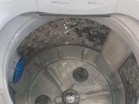 三洋洗衣机显示ER1错误的处理方法（解决三洋洗衣机显示ER1错误的有效措施）