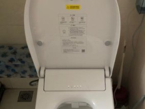 小米马桶盖更换指南（轻松更换小米马桶盖）