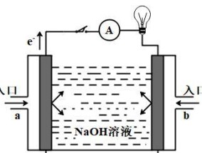 电池使用双电池的原因是什么？