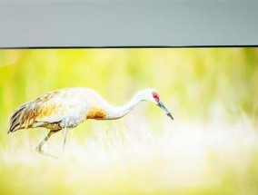 解决电视故障的实用技巧（掌握修复电视的关键方法）