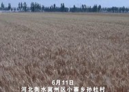 农机装上“智慧大脑”、无人机变身照明灯,科技助力“麦”向丰收