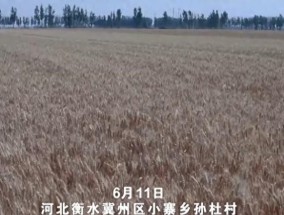 农机装上“智慧大脑”、无人机变身照明灯,科技助力“麦”向丰收