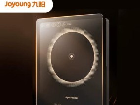 以电磁炉能启动但不加热的排除法判断方法（故障排查指南及维修建议）