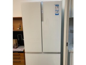 分体冰箱灯不亮的原因及解决方法（分体冰箱灯不亮可能的故障和修复步骤）