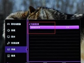 远程投影显示器不亮了？如何快速解决？