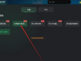 帕鲁服务器地址重置步骤是什么？重置后如何确保连接稳定？