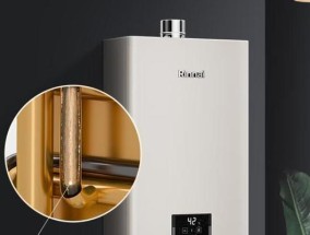 燃气热水器内部有火的叫什么型号？