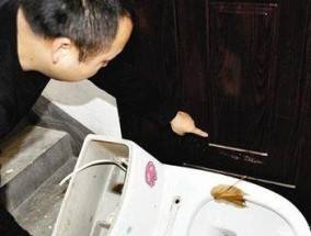 楼上马桶堵了，谁之过（探讨楼上住户与堵马桶之间的关系）