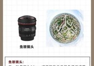 不同相机镜头拍摄的相片有何区别？如何选择合适的镜头？