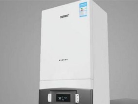 解决以冈底斯壁挂炉显示E1的问题（E1错误代码的原因及解决方法）