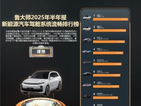 鲁大师 2025 年新能源汽车半年报：理想霸榜，零跑上分