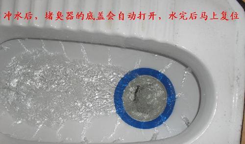 家里蹲便堵了怎么办（解决蹲便堵塞问题的实用方法）  第1张