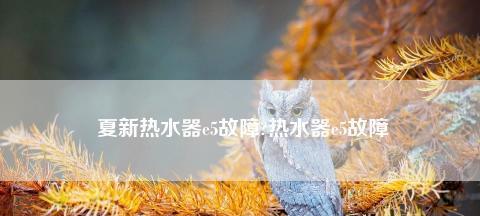 夏普热水器显示E1是什么意思（解读夏普热水器E1故障代码）  第1张