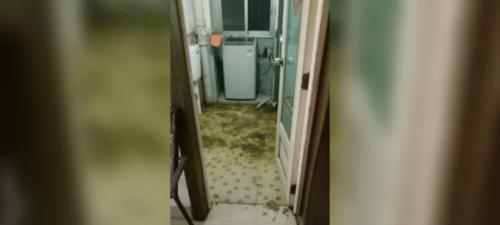 楼上马桶堵了，谁之过（探讨楼上住户与堵马桶之间的关系）  第3张
