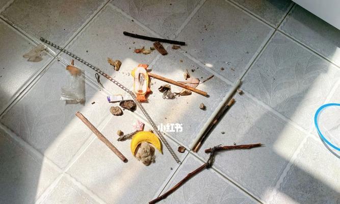 洗衣机底盘发现石子是什么原因？如何清理？  第3张