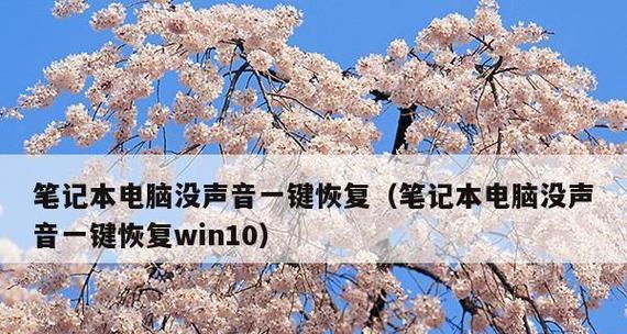 笔记本电脑无声？如何快速解决声音问题？  第3张