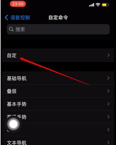 苹果手机拍照时如何显示机型？设置步骤是什么？  第2张