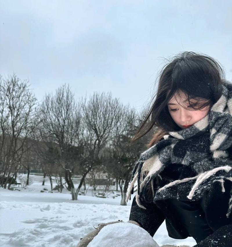 下雪天用手机如何拍摄清晰照片？  第2张