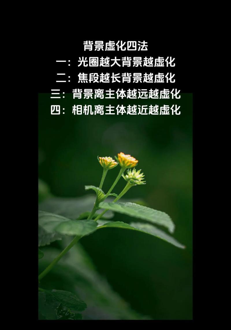 手机拍照怎么虚化背景？有哪些技巧可以实现？  第1张